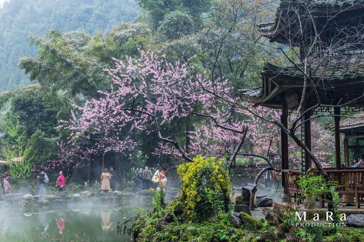 生化危机保护伞小队