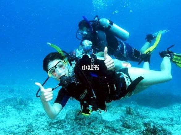 打造医药康养文旅产业名片